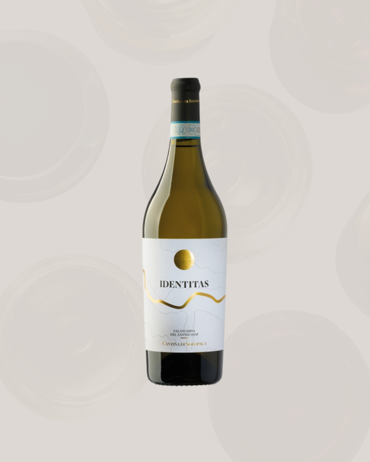 Falanghina - Cantina di Solopaca