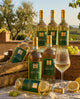 End of Summer Promotion - Vermentino